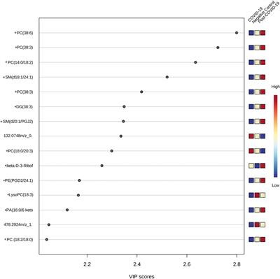 Untargeted analysis in post-COVID-19 patients reveals dysregulated lipid pathways two years after recovery